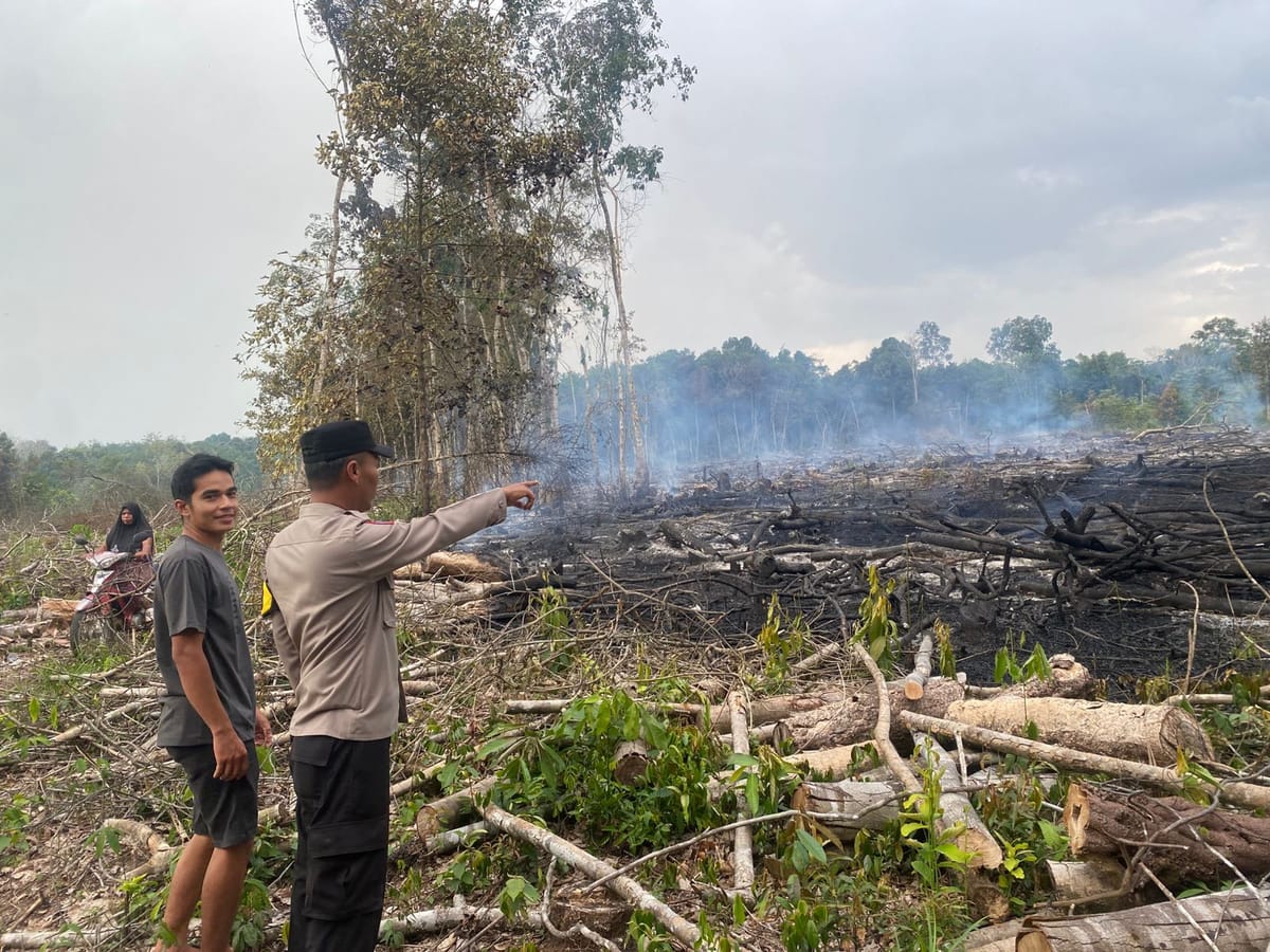 Kebakaran Lahan di Desa Binturu, Lokasi Bekas Kebun Karet