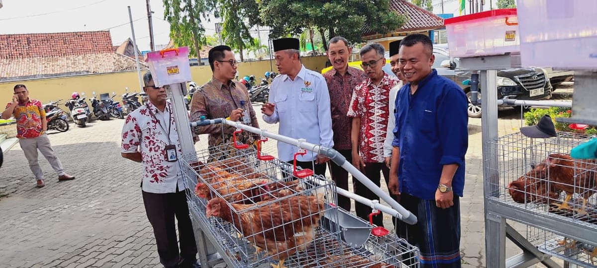 PT BPR BKK Lasem Salurkan Bantuan Ayam Petelur Hingga Santunan Anak Yatim