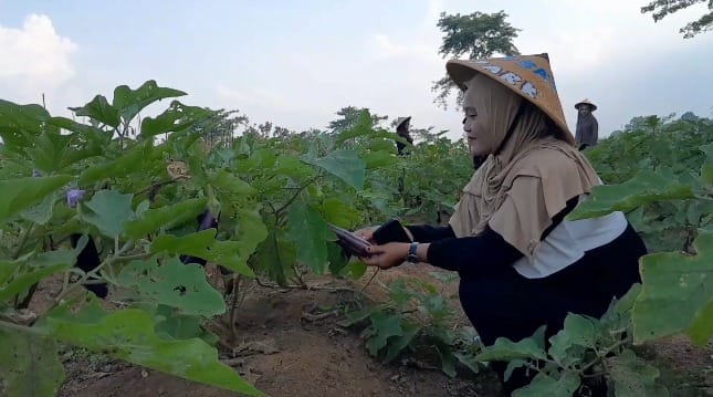 Sitiluhur Park Hadirkan Wahana Baru Seru