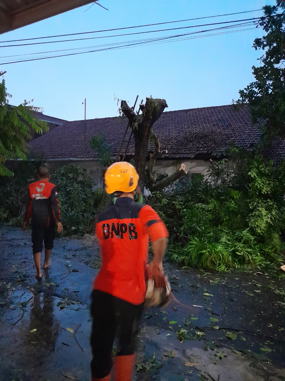 Angin Kencang dan Longsor Terjang Empat Kecamatan di Jember, 14 Rumah Rusak Ringan