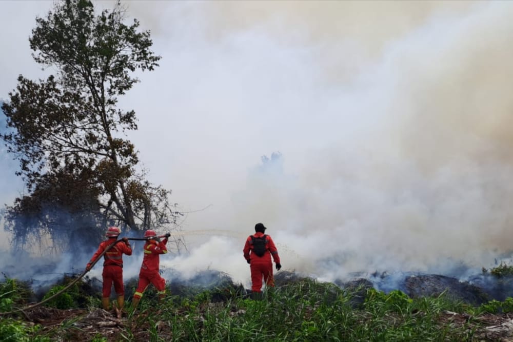 Pejuang Karhutla Muharmizan Wafat Dalam Tugas, Plt Gubri: Beliau Pahlawan Lingkungan