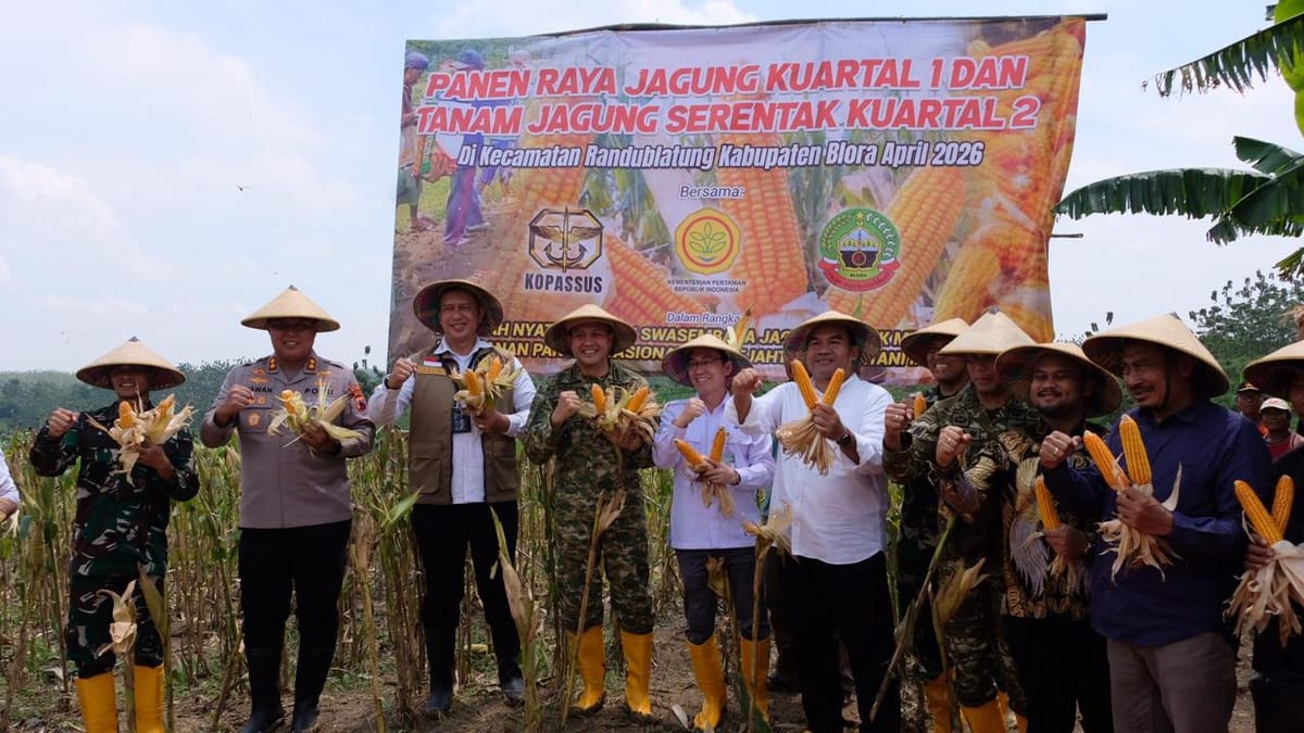 BULOG Dukung Panen Raya Jagung di Blora, Perkuat Swasembada Pangan Nasional