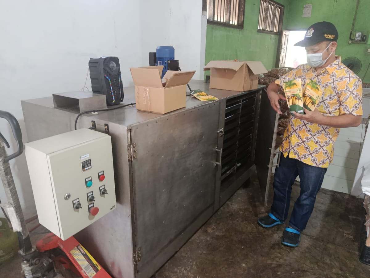 Gula Kelapa di Tengah Gejolak Global: Bertahan di Antara Harga dan Harapan