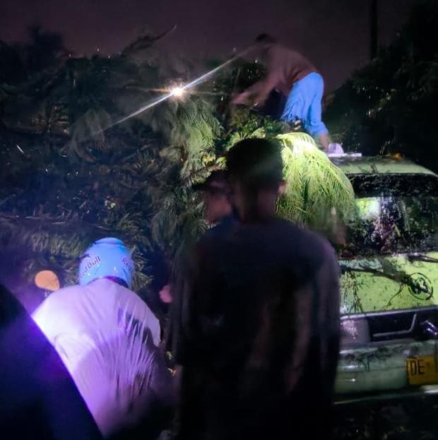 Tiga Warga Jadi Korban Pohon Tumbang, Walikota Ambon Gerak Cepat