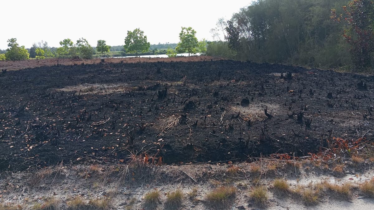 Karhutla Mulai Muncul, BPBPK Kalteng Ingatkan Warga Waspada Sejak Dini