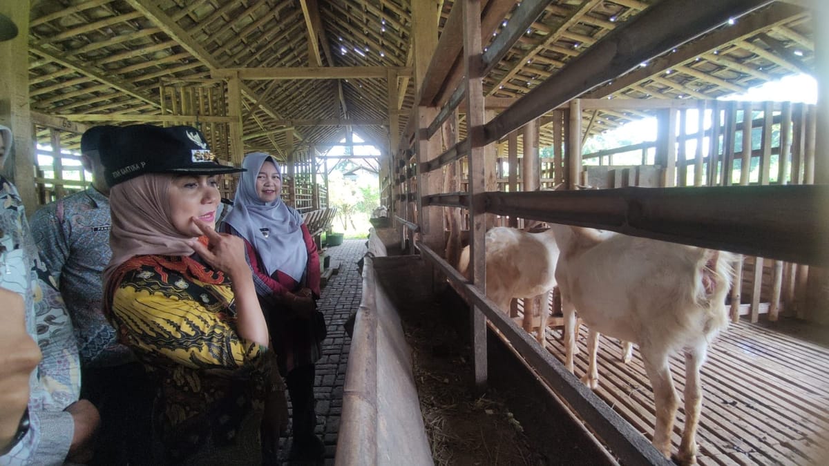 Bupati Kendal Pastikan Stok Kambing Kurban Aman Jelang Idul Adha