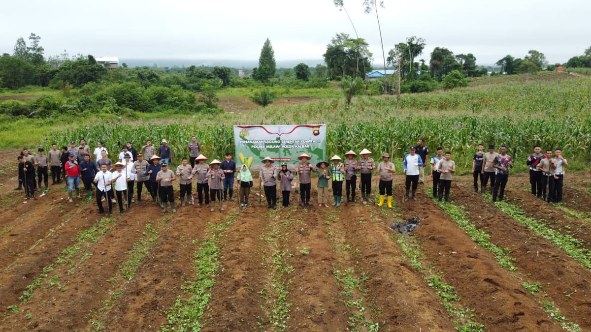 Di Balik Seragam, Polisi Melawi Turun ke Ladang Jagung