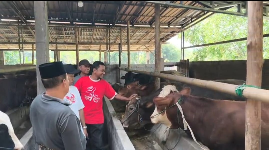 Menjelang Idul Adha, Penjualan Sapi Kurban Mulai Ramai