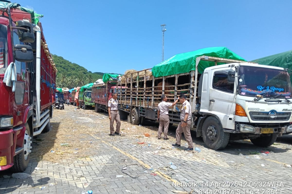 Pemprov NTB Tegaskan Pengiriman Ternak 2026 Lebih Tertata