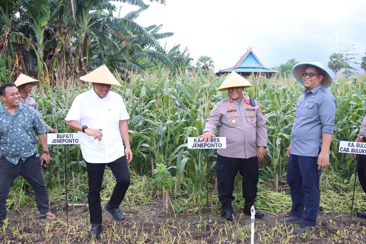 Bupati Jeneponto Hadiri Panen Raya Jagung Serentak Nasional, Perkuat Komitmen Ketahanan Pangan Daerah