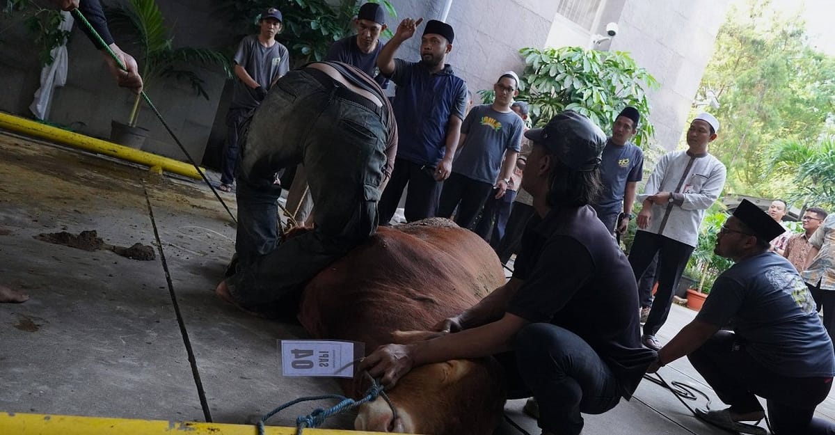 Momentum Idul Adha 2026, KPK Ajak Publik Perkuat Integritas Sosial melalui Gaya Hidup Sederhana