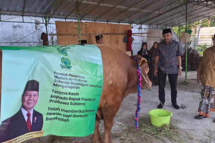 Hewan Kurban Banpres : MUI Nilai Sah Secara Syar'i