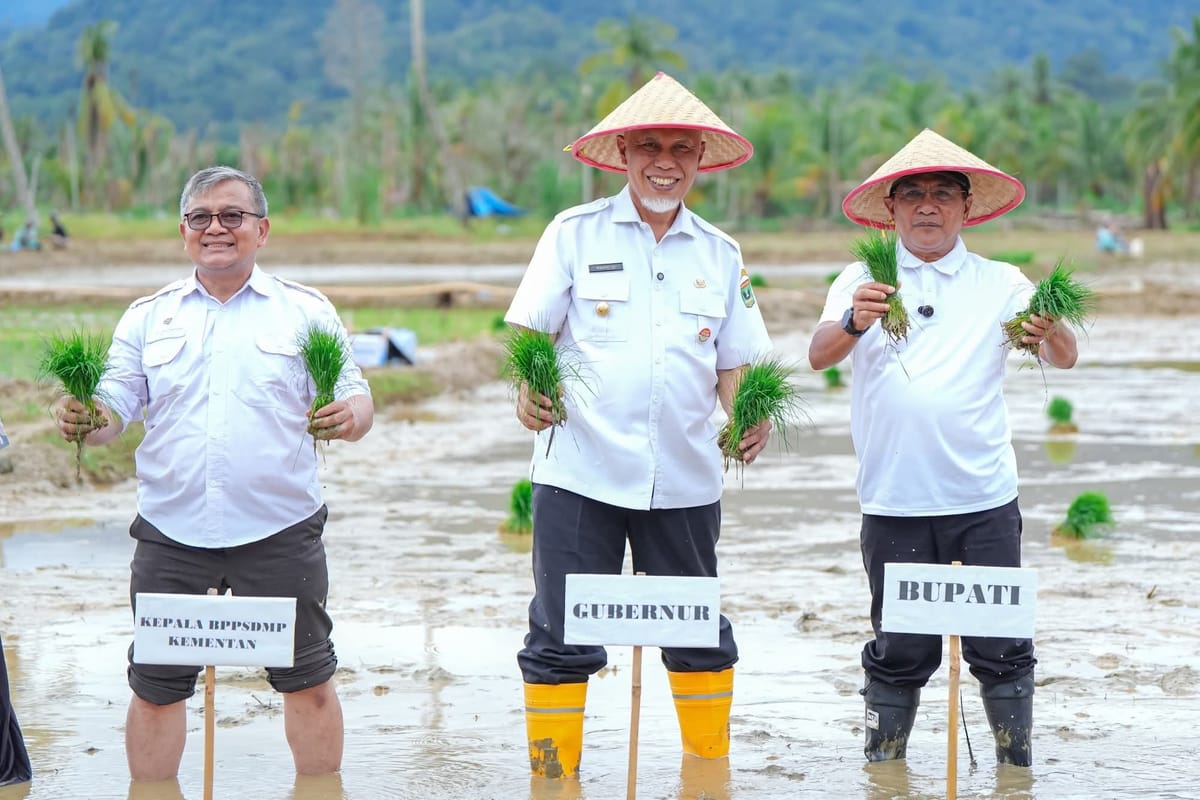 Rehabilitasi Lahan Rusak Ringan dan Sedang akibat Bencana Hidrometeorologi di Sumbar Tuntas