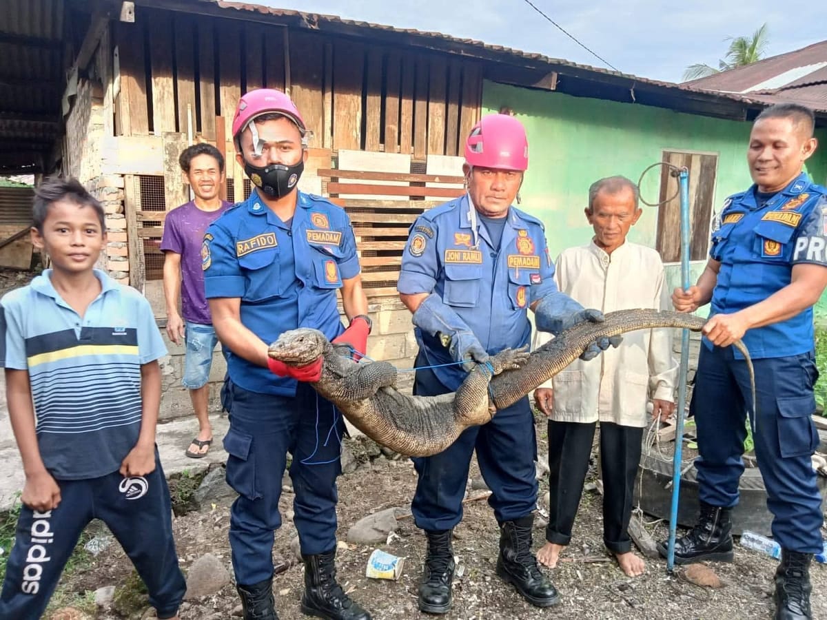 Tidak Sekadar Pemadam Api, Damkar Padang Tangani Ratusan Situasi Darurat