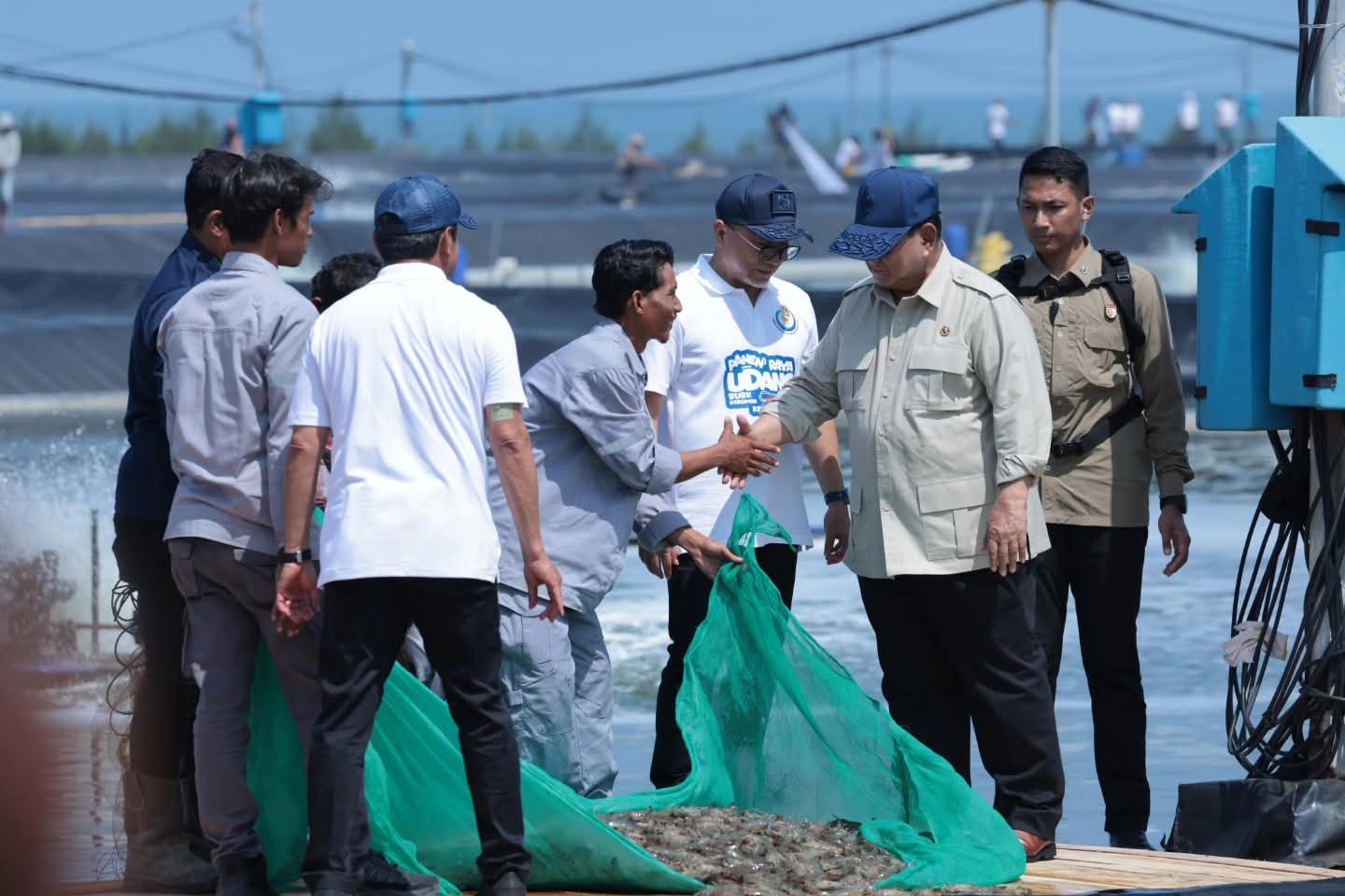 Presiden Prabowo Panen Raya Udang di Kebumen, Jadi Kekuatan Baru Pertumbuhan Ekonomi Indonesia