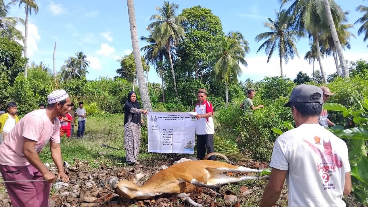 Pemprov Sumbar Pastikan Tebar Kurban di Mentawai Tepat Sasaran