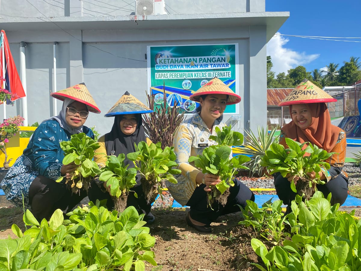 Lapas Perempuan Ternate Lakukan Panen Sayur Dukung Program Menteri Imigrasi dan Pemasyarakatan