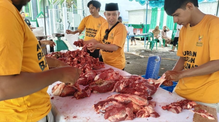 BAZNAS Kota Ternate Kurban 13 Ekor Sapi dan Kambing