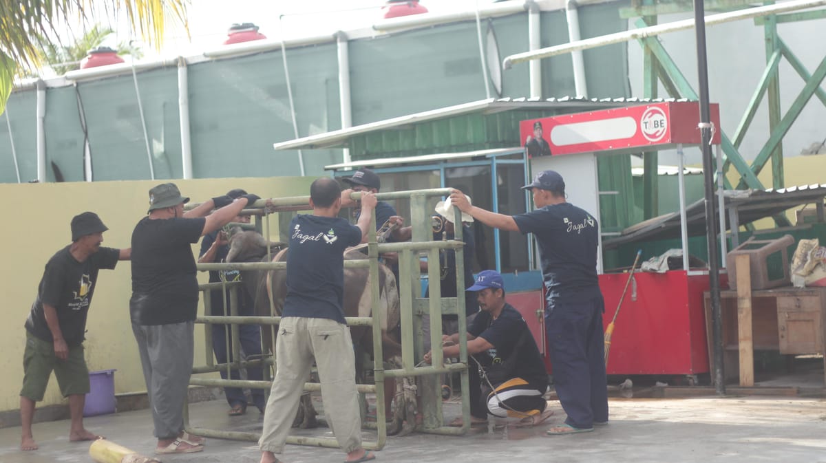 Sebelas Hewan Kurban Disembelih, Suasana Iduladha di Masjid Ar-Rasyid Penuh Kebersamaan
