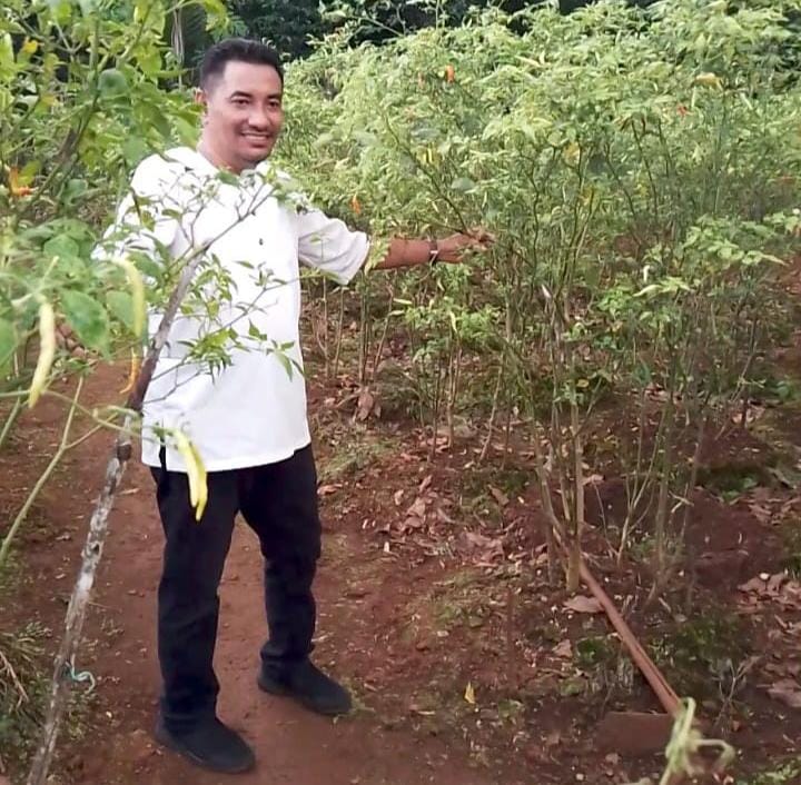 Urimesing akan Dijadikan Pusat Produksi Tanaman Pangan Kota Ambon