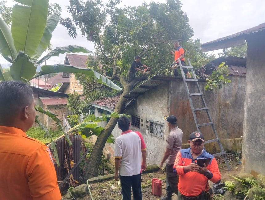Pohon Tumbang Timpa Rumah Warga di Padang