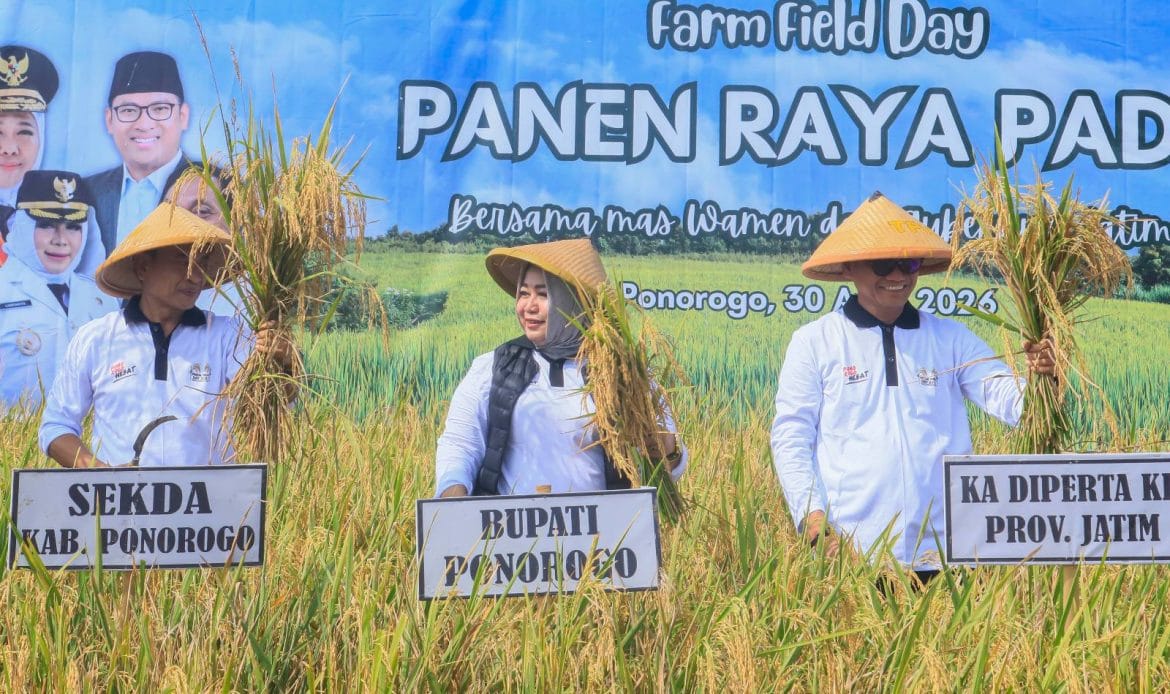 Tradisi "Metik" Awali Panen Padi di Ponorogo
