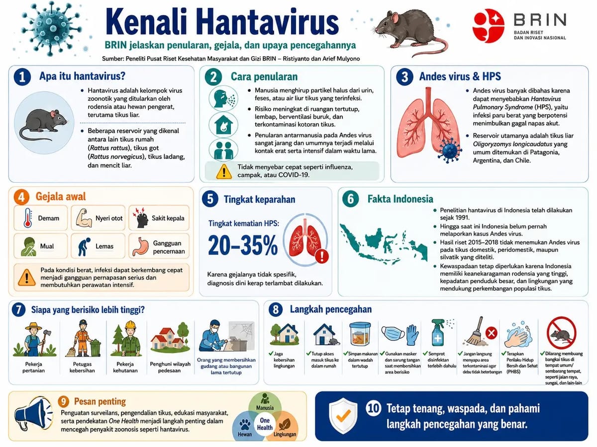 Kenali Hantavirus: Penularan, Gejala dan Upaya Pencegahan