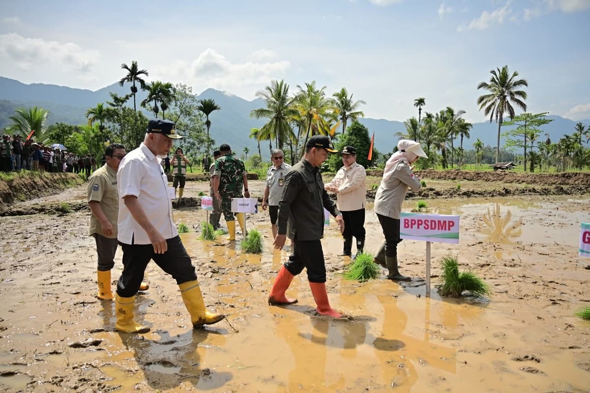 Pemerintah Percepat Pemulihan Lahan Terdampak Bencana dan Antisipasi Kekeringan Melalui Gerakan Tanam Serempak 50 Ribu Hektare
