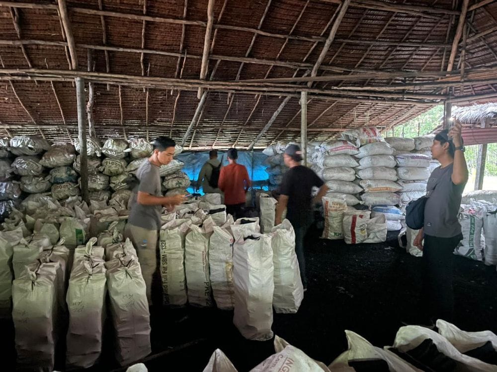 Sikat Mafia Mangrove Internasional, Polisi Amankan 100 Ton Arang Ilegal Siap Ekspor ke Malaysia