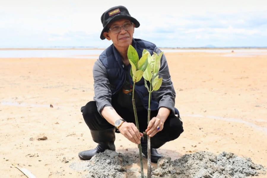 Aksi Menyelamatkan Bumi, Wali Kota Batam bersama Mahasiswa Tanam 2.000 Mangrove