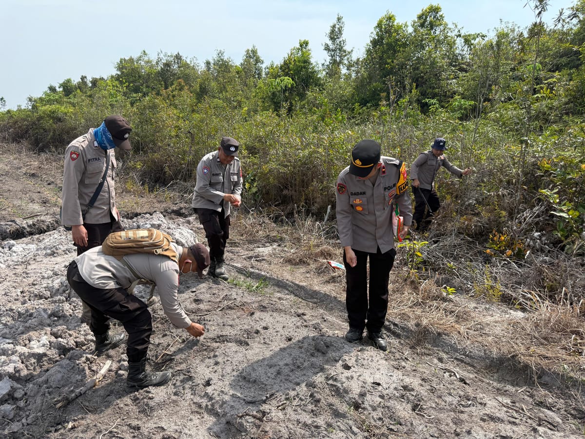 Polsek Tumbang Titi Tanam Jagung Hibrida Demi Ketahanan Pangan