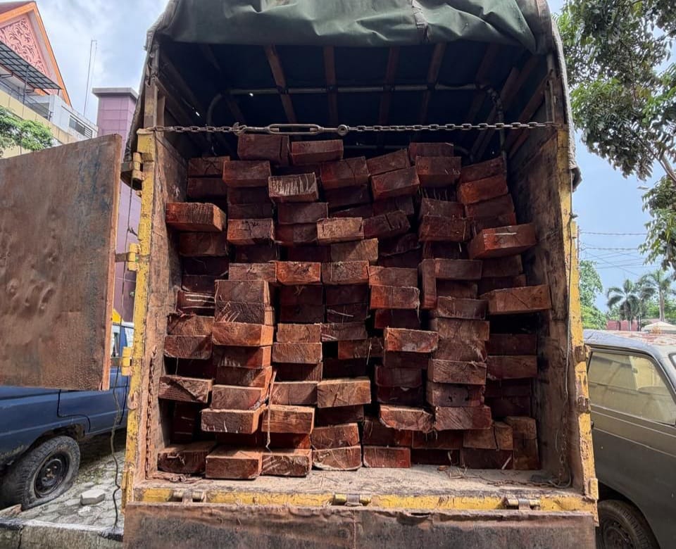 Bongkar Aksi Kerusakan Hutan Konsevasi Giam Siak Kecil, Polisi Sita 10 Kubik Kayu Tanpa Dokumen