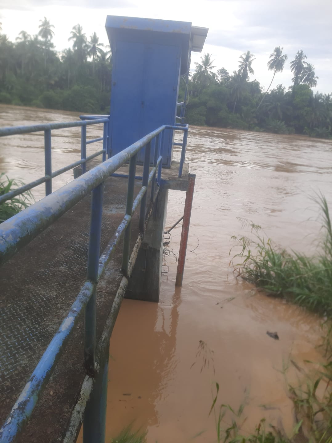 Bupati Kuansing Intruksikan Camat dan Kades Siaga Banjir, Debit Sungai Kuantan Mendekati Zone Merah