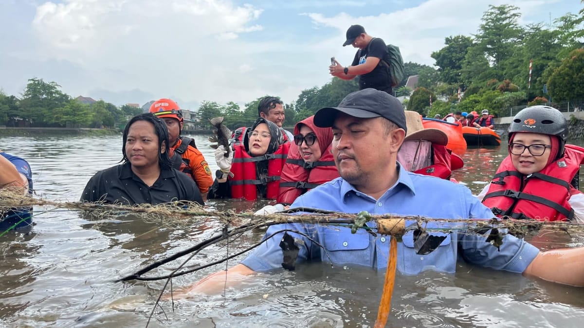 Ikan Sapu Sapu Dapat Dimanfaatkan Sebagai Pupuk Tanaman