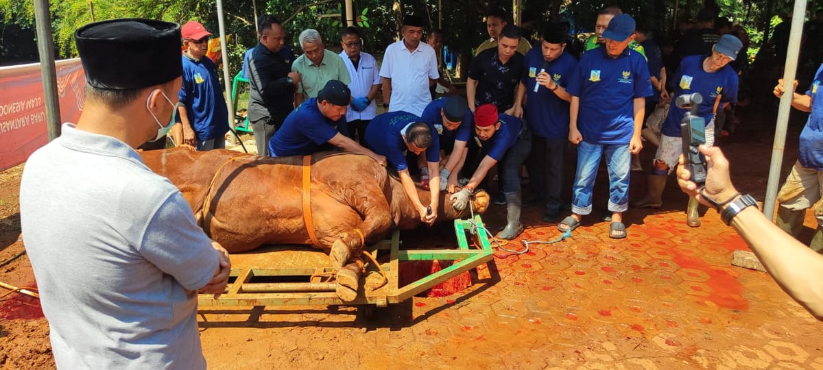 Gunakan Golok Sorenan Betawi, Wali Kota Jaksel M Anwar Sembelih Hewan Kurban Pemberian Presiden RI