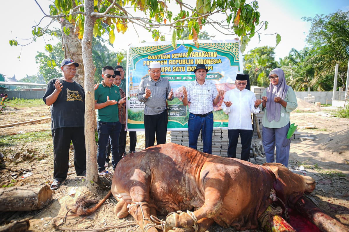 Sapi Kurban Bantuan Presiden untuk Kabupaten Kuansing Disembelih di Ponpes Iman Saleh Inuman