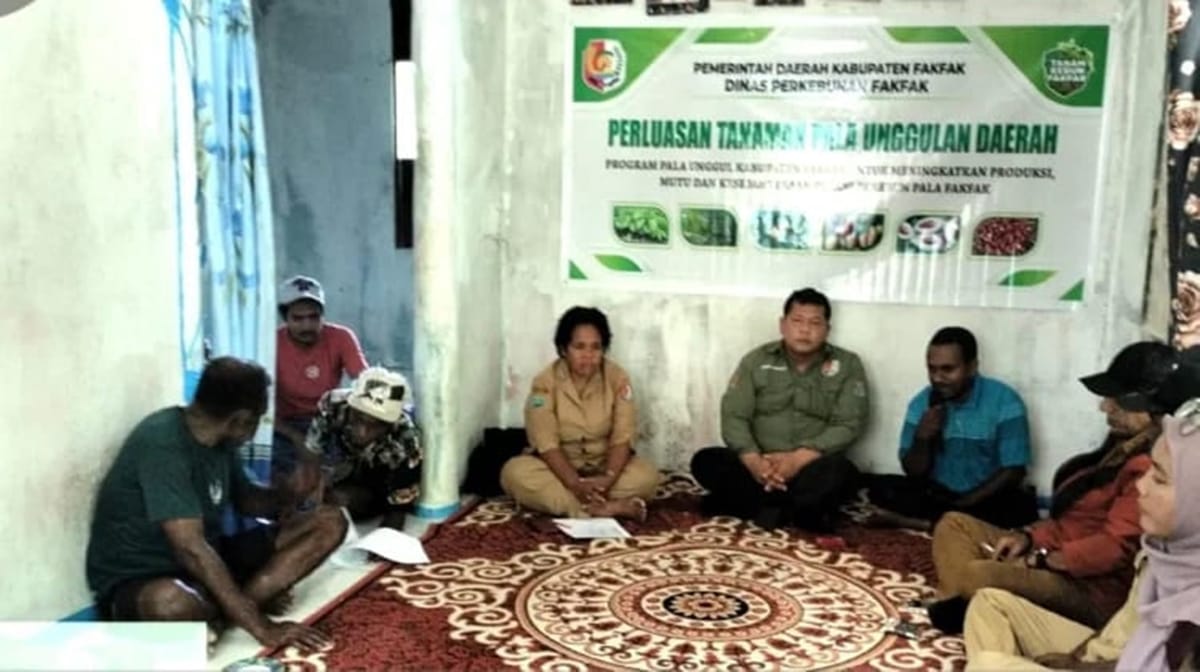Pemkab Fakfak Papua Barat Terapkan Perluasan Pala Tomandin