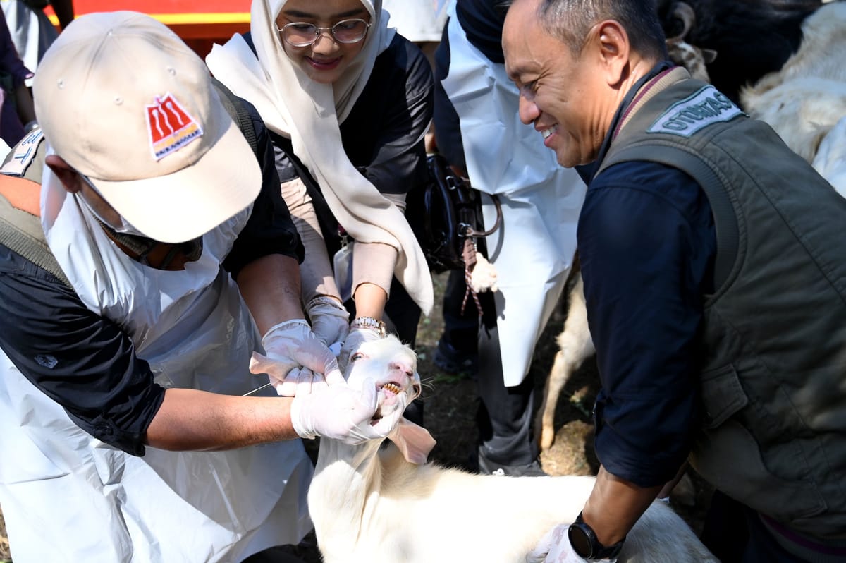 Pastikan Layak saat Idul Adha, Pemkab Banyuwangi Periksa Kesehatan Hewan Kurban