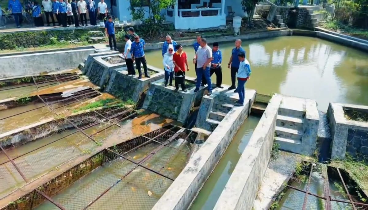 Pemkab Bogor Pacu Sektor Perikanan Dan Peternakan