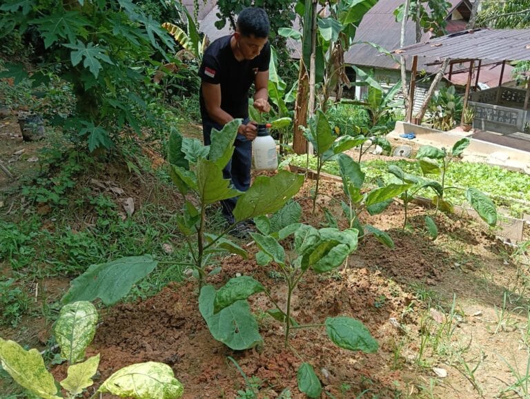 Brimob Kalbar Sulap Lahan Kosong Jadi Kebun Produktif
