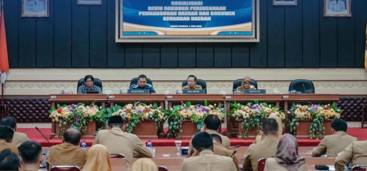Pemanfaatan Aplikasi E-Reviu Pada Rencana Kerja Pemerintah Daerah (RKPD) dan Dokumen Keuangan Daerah