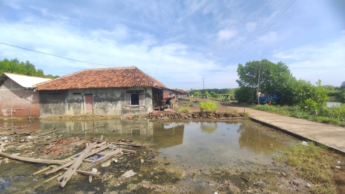 Ratusan Rumah Warga di Wilayah Patebon Kendal Terdampak Banjir Rob