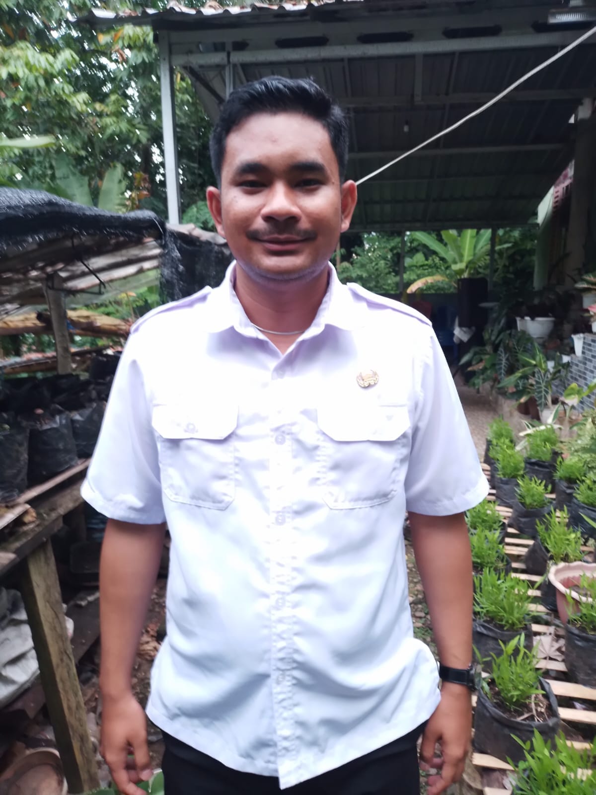 Lahan Pertanian di Semenanjung Nusaniwe Kota Ambon Menjanjikan. PPL Bersama Petani Tancap Gas