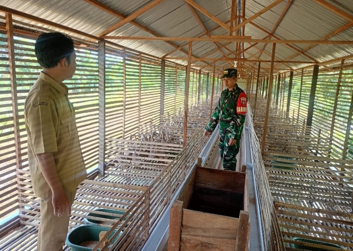 Perkuat Ketahanan Pangan, Babinsa Koramil LAU Kunjungi Peternakan Itik Petelur BUMDes
