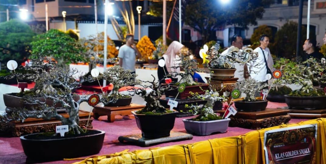 Pameran Bonsai Warnai Grebeg Suro 2026 di Ponorogo