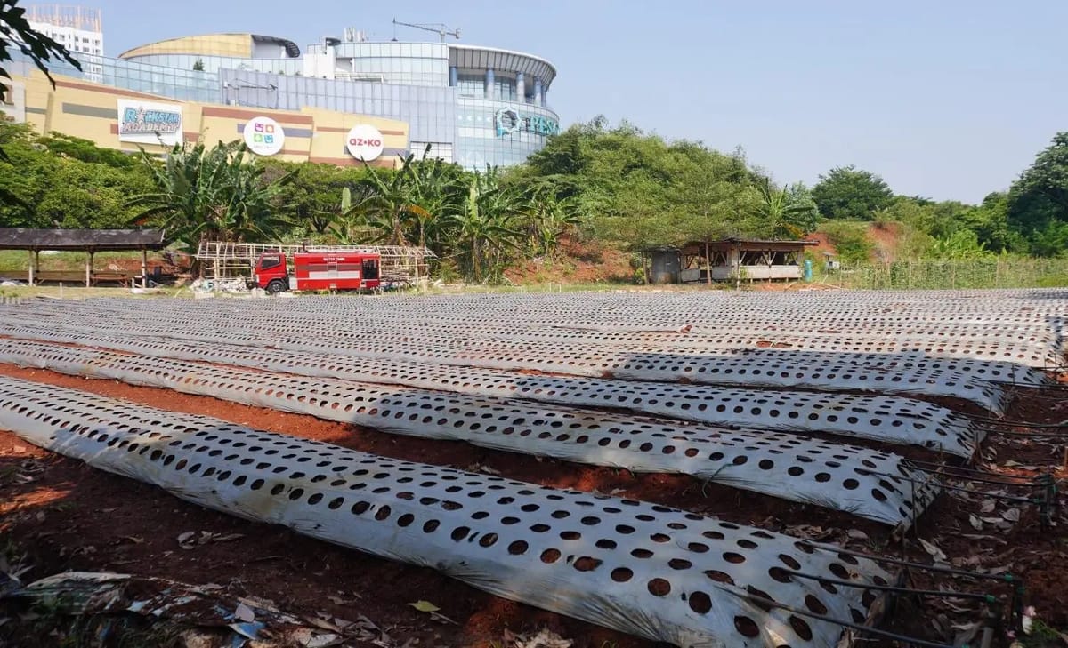 Kodim 0508/Depok Manfaatkan Lahan Jalan Ir. Juanda Ditanami Komiditas Hortikultura