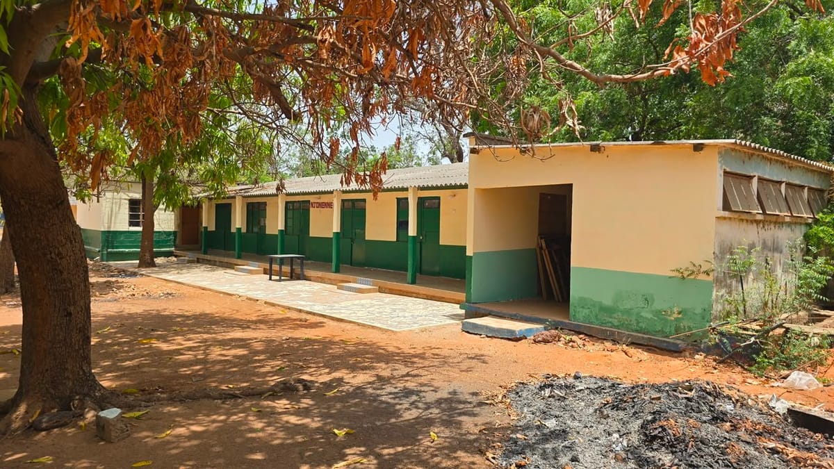 Menabur Benih, Menuai Persahabatan : RI - Gambia Bangun Ketahanan Pangan