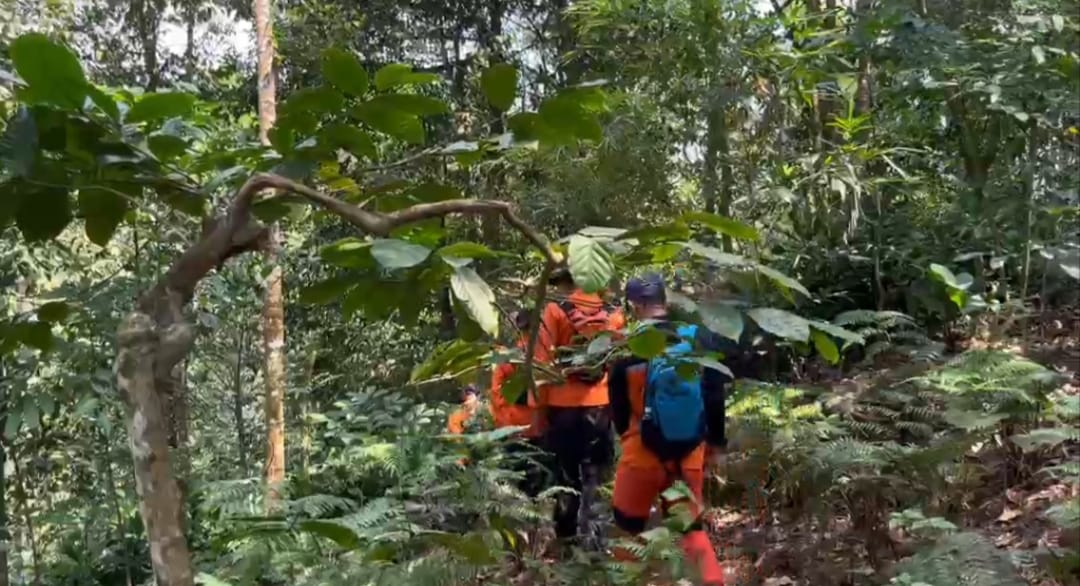 Dua Lansia Hilang di Hutan Brebes dan Purbalingga, Tim SAR Terus Berupaya Lakukan Pencarian