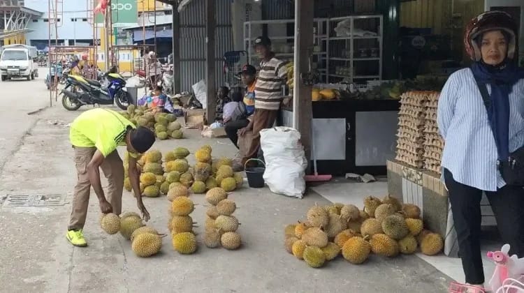 Musim  Durian bawa Rejeki Bagi Petani Di Fakfak Papua Barat