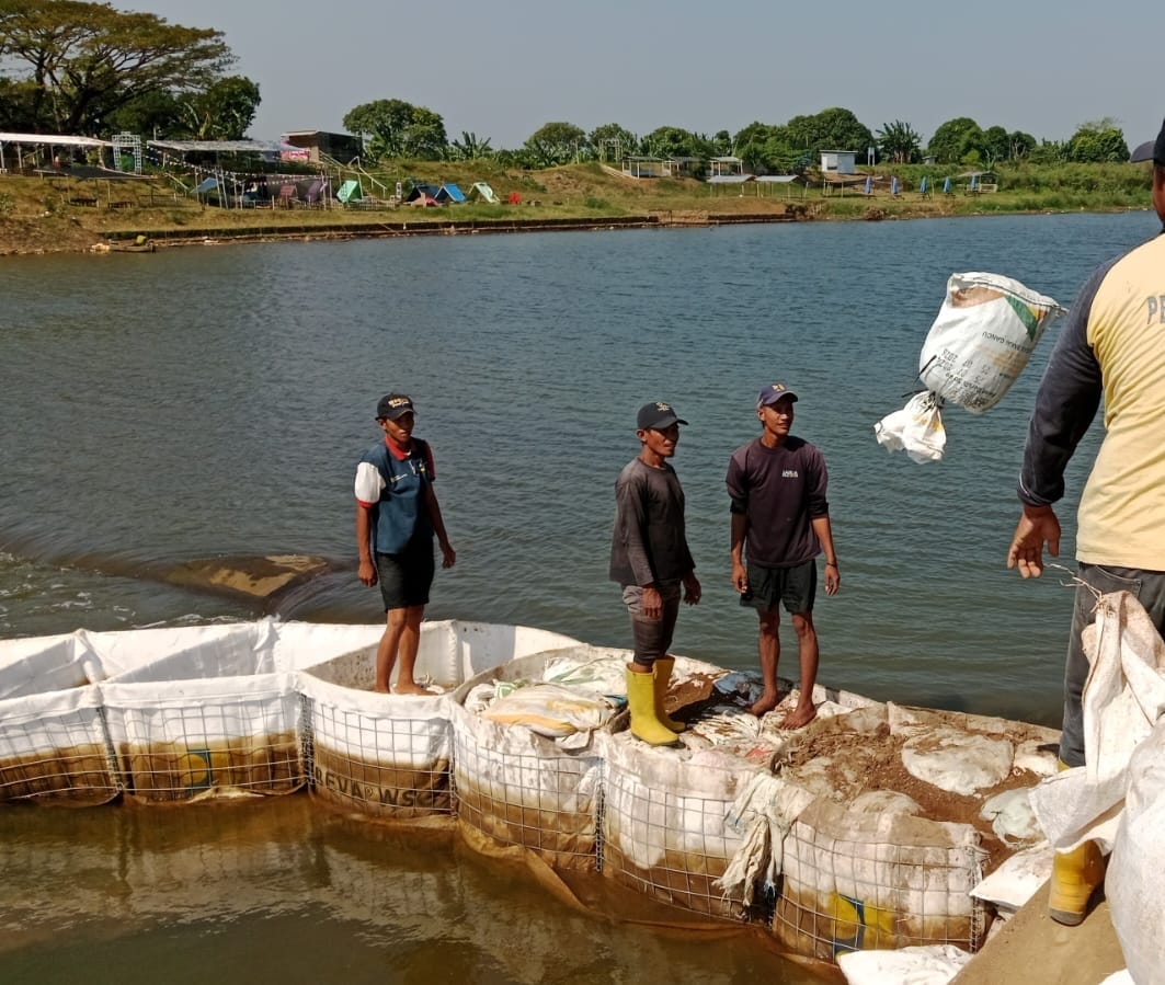 Penanganan Darurat di Bendung Karet Jepara Untuk  Pasokan Air Irigasi